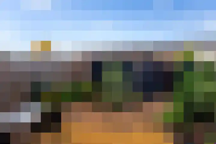 Waterlei 94 Apeldoorn thumbnail 25