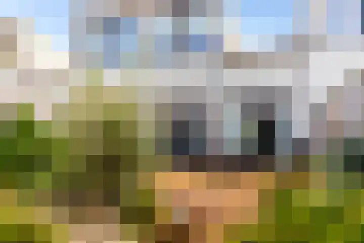 Waterlei 94 Apeldoorn thumbnail 28