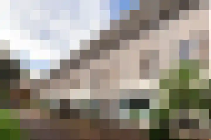 Waterlei 94 Apeldoorn thumbnail 30