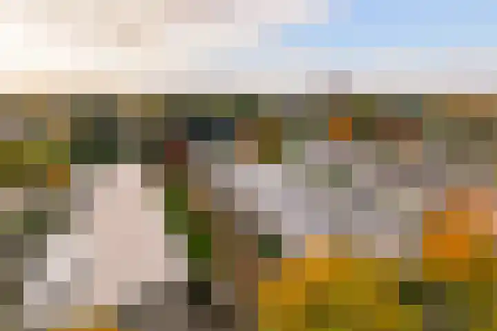 Waterlei 94 Apeldoorn thumbnail 32