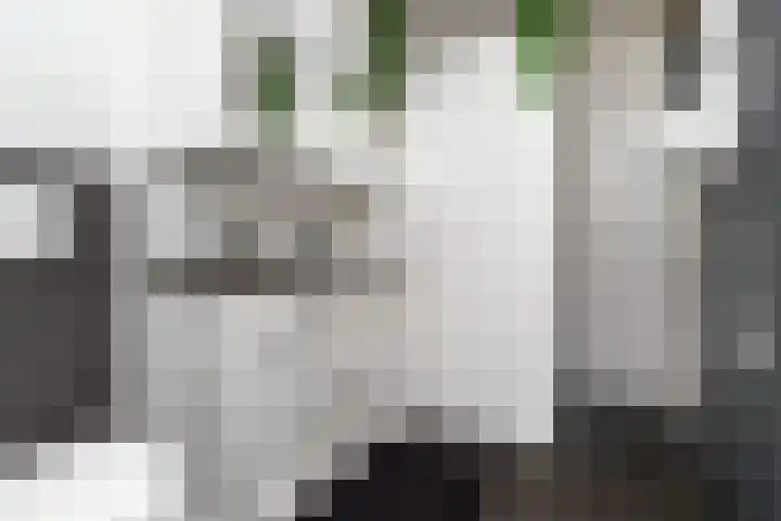 Waterlei 94 Apeldoorn thumbnail 4