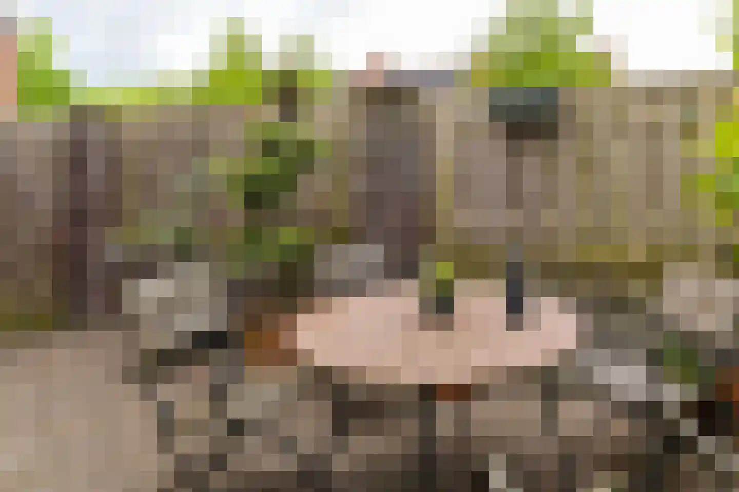 Waterleidingsingel 12 Venlo thumbnail 18
