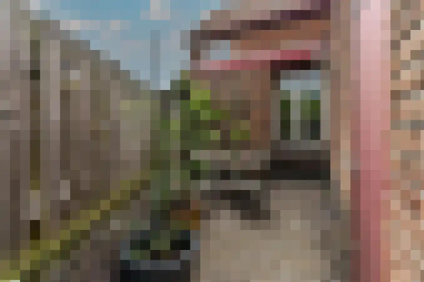 Waterleidingsingel 12 Venlo thumbnail 19