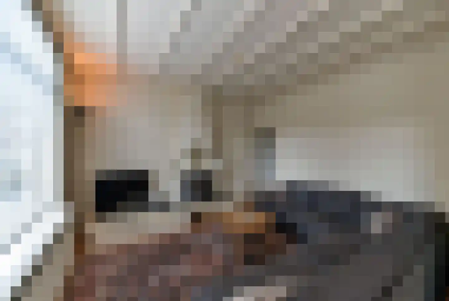 Waterleidingsingel 12 Venlo thumbnail 9