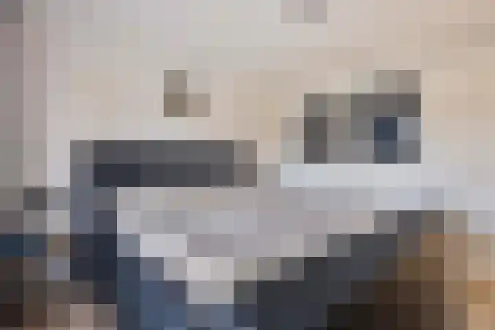 Waterleidingsingel 15 Venlo thumbnail 11