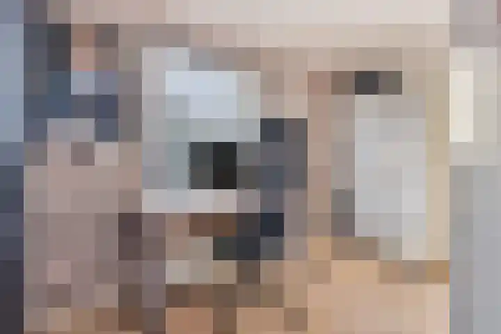 Waterleidingsingel 15 Venlo thumbnail 15