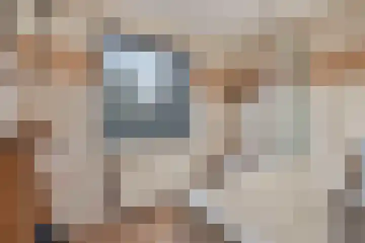 Waterleidingsingel 15 Venlo thumbnail 16