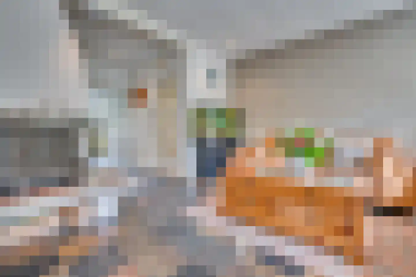 Waterleidingsingel 155 Venlo thumbnail 16