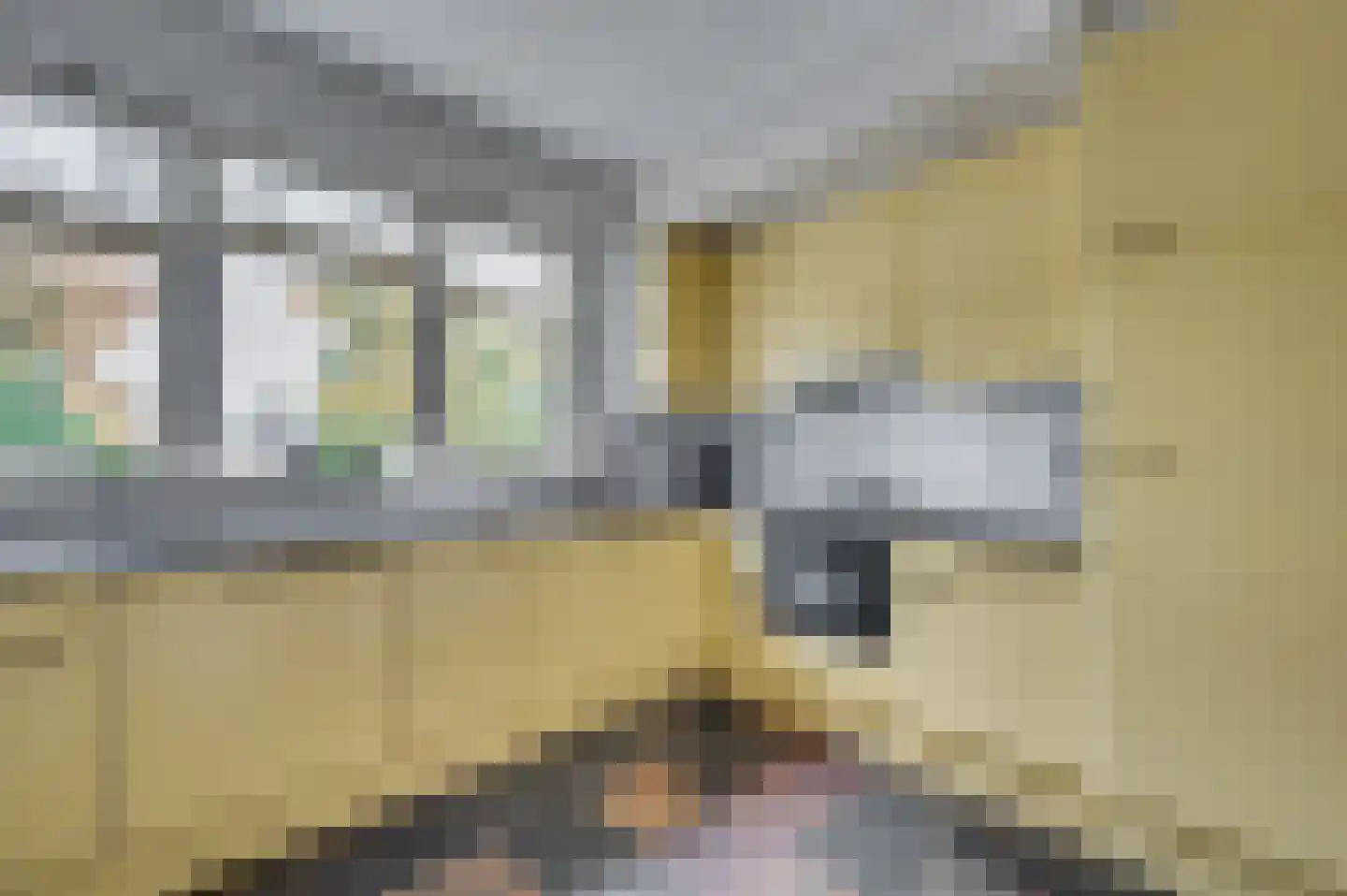 Waterleidingsingel 155 Venlo thumbnail 23