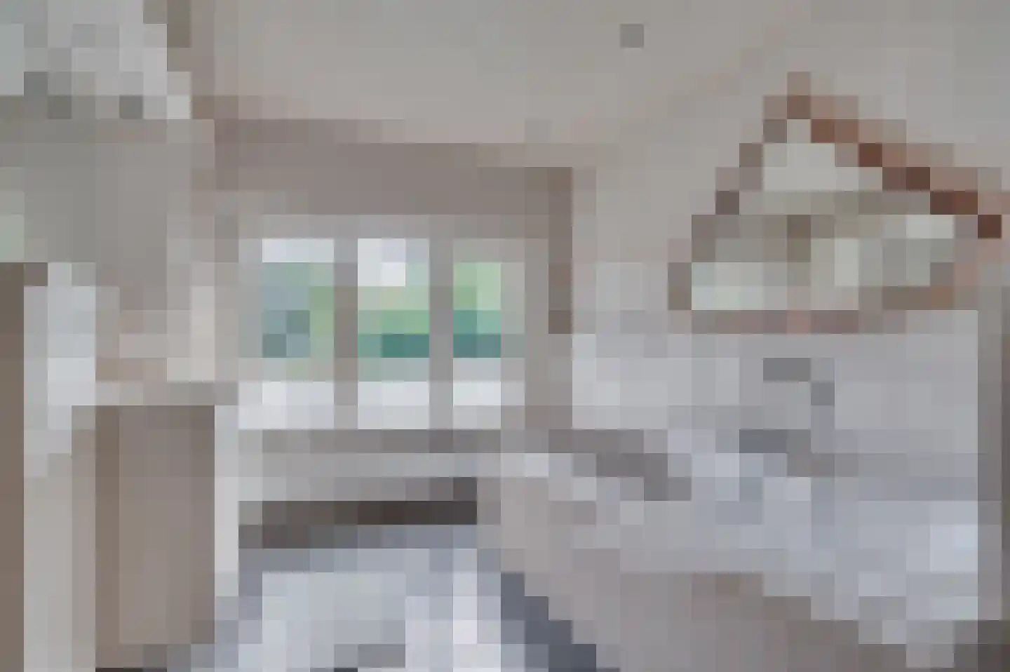Waterleidingsingel 155 Venlo thumbnail 28