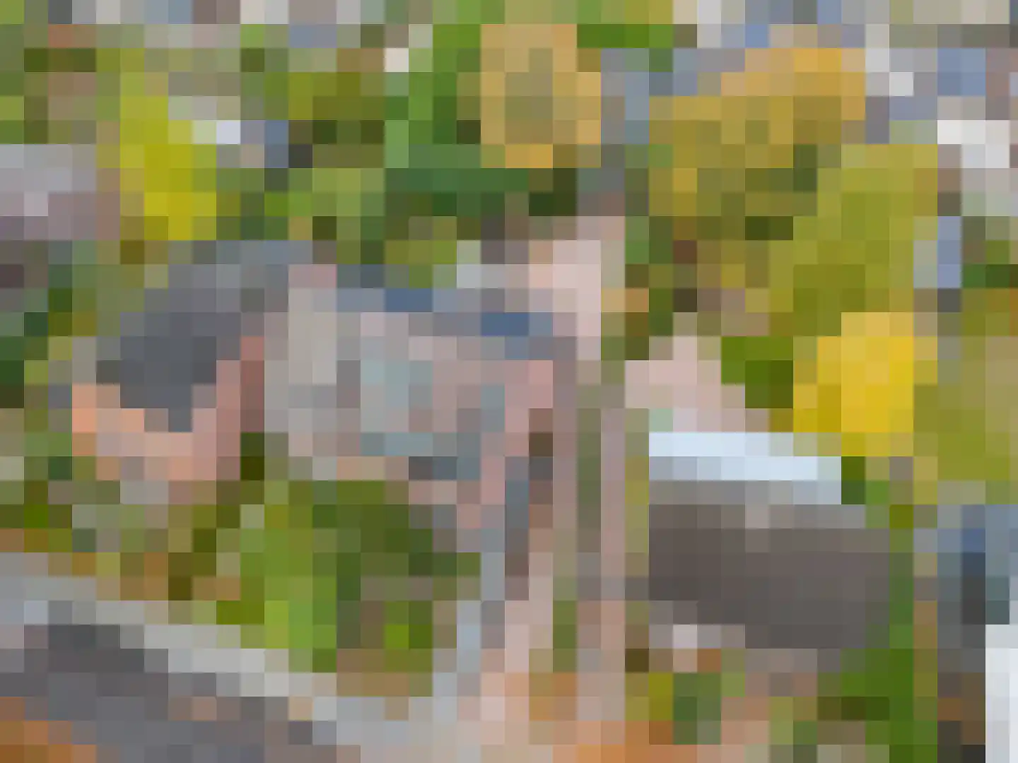 Waterleidingsingel 155 Venlo thumbnail 4