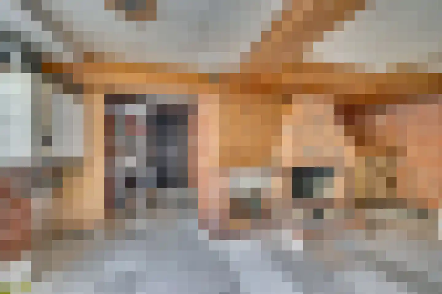 Waterleidingsingel 155 Venlo thumbnail 47