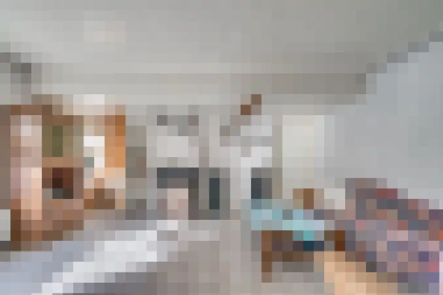 Waterleidingsingel 155 Venlo thumbnail 56