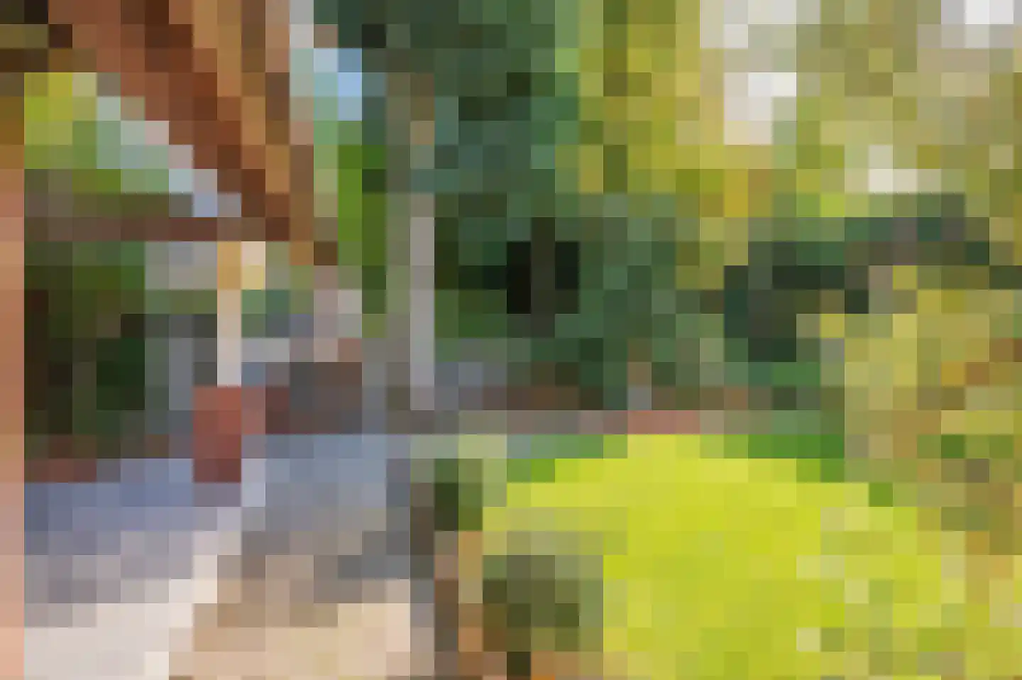 Waterleidingsingel 155 Venlo thumbnail 70