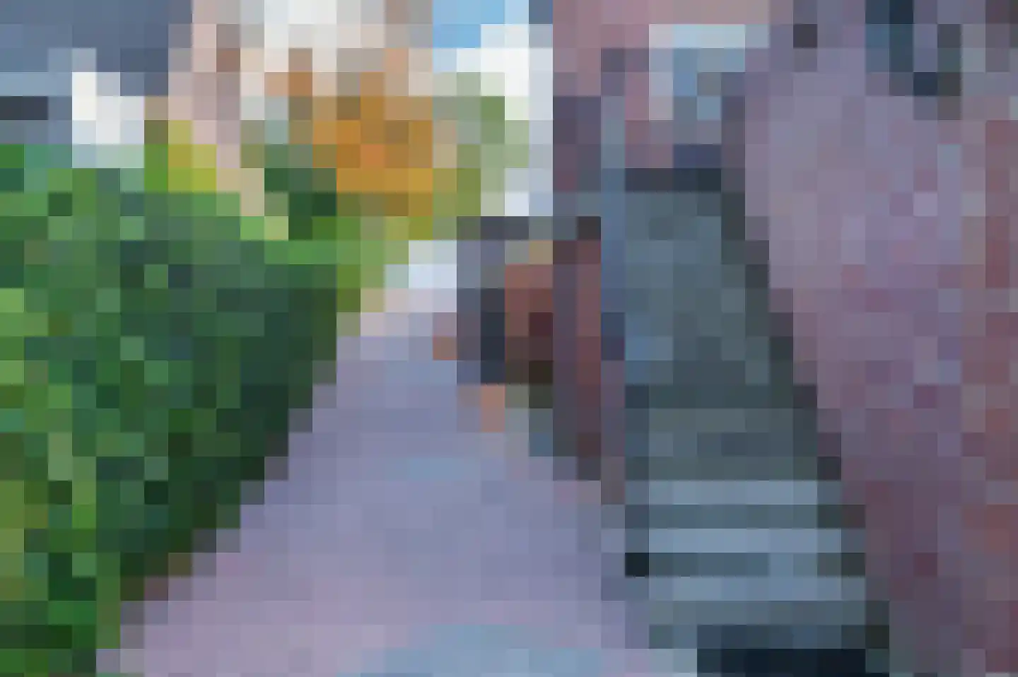 Waterleidingsingel 155 Venlo thumbnail 71