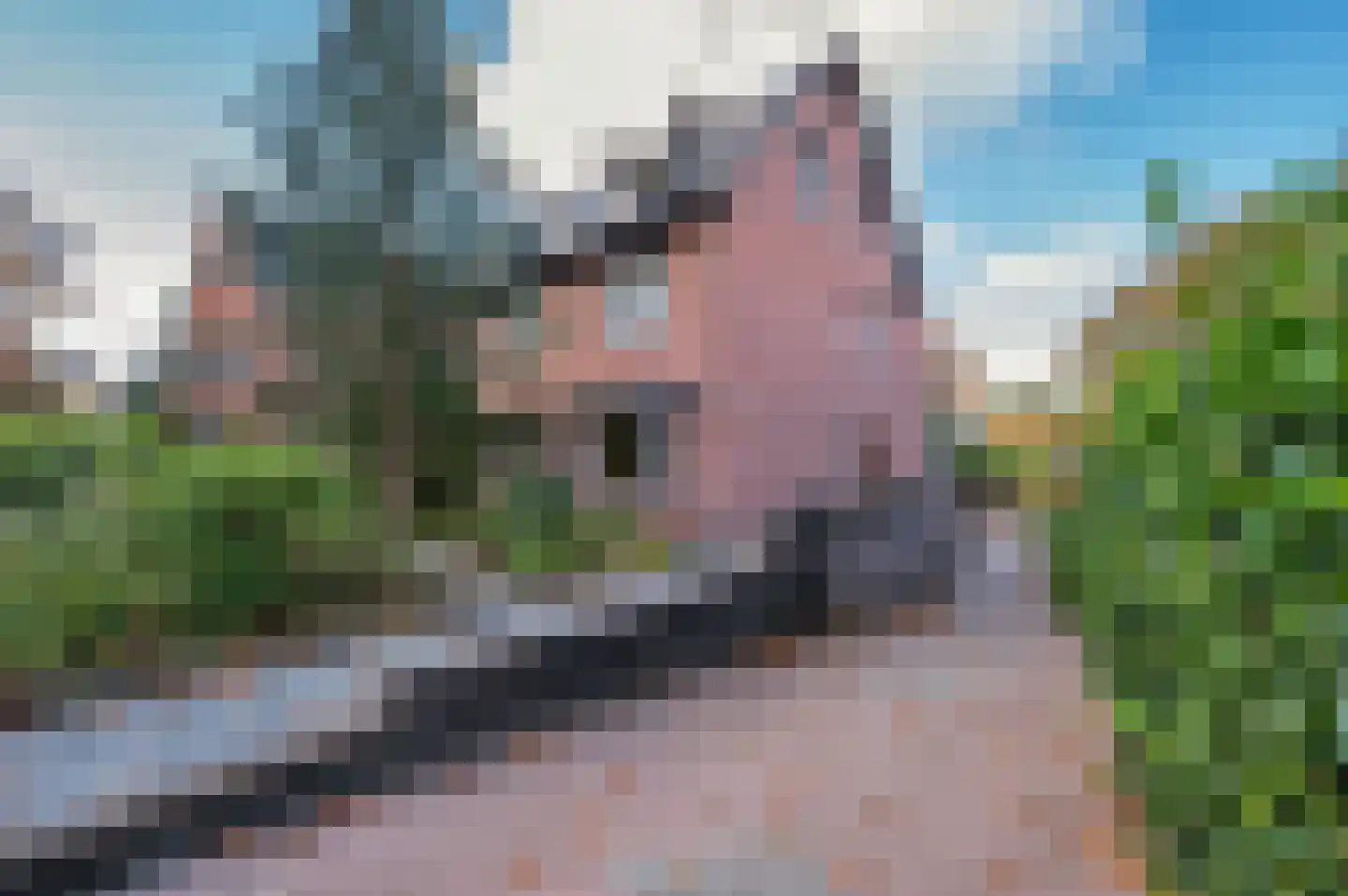 Waterleidingsingel 155 Venlo thumbnail 75