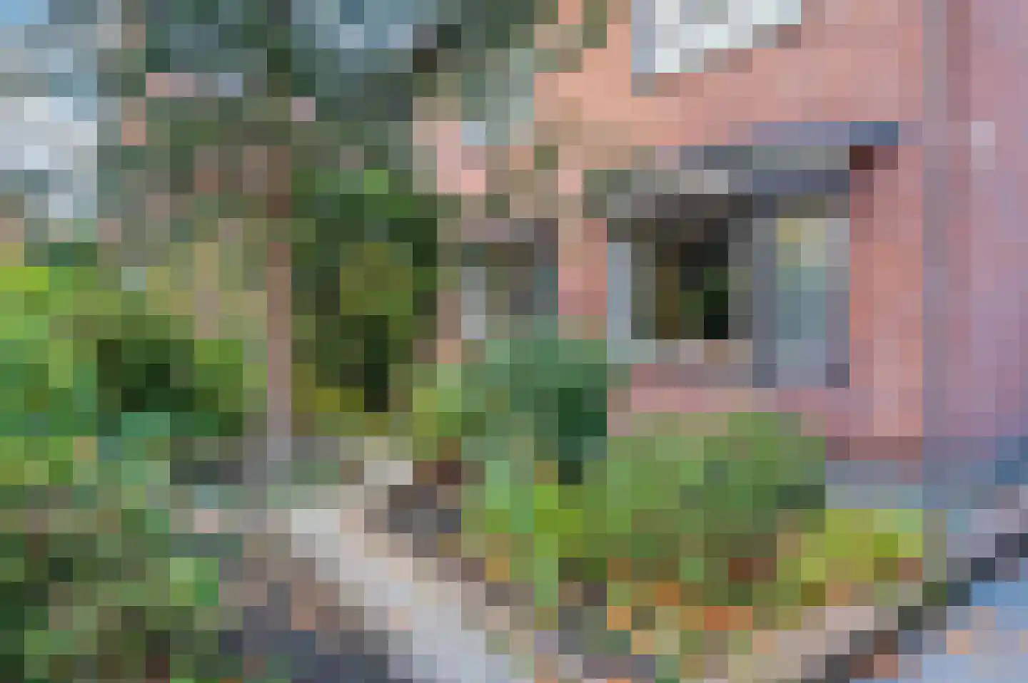 Waterleidingsingel 155 Venlo thumbnail 78