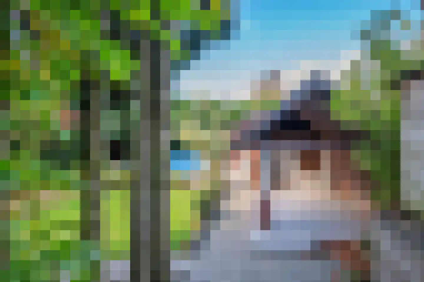 Waterleidingsingel 155 Venlo thumbnail 9