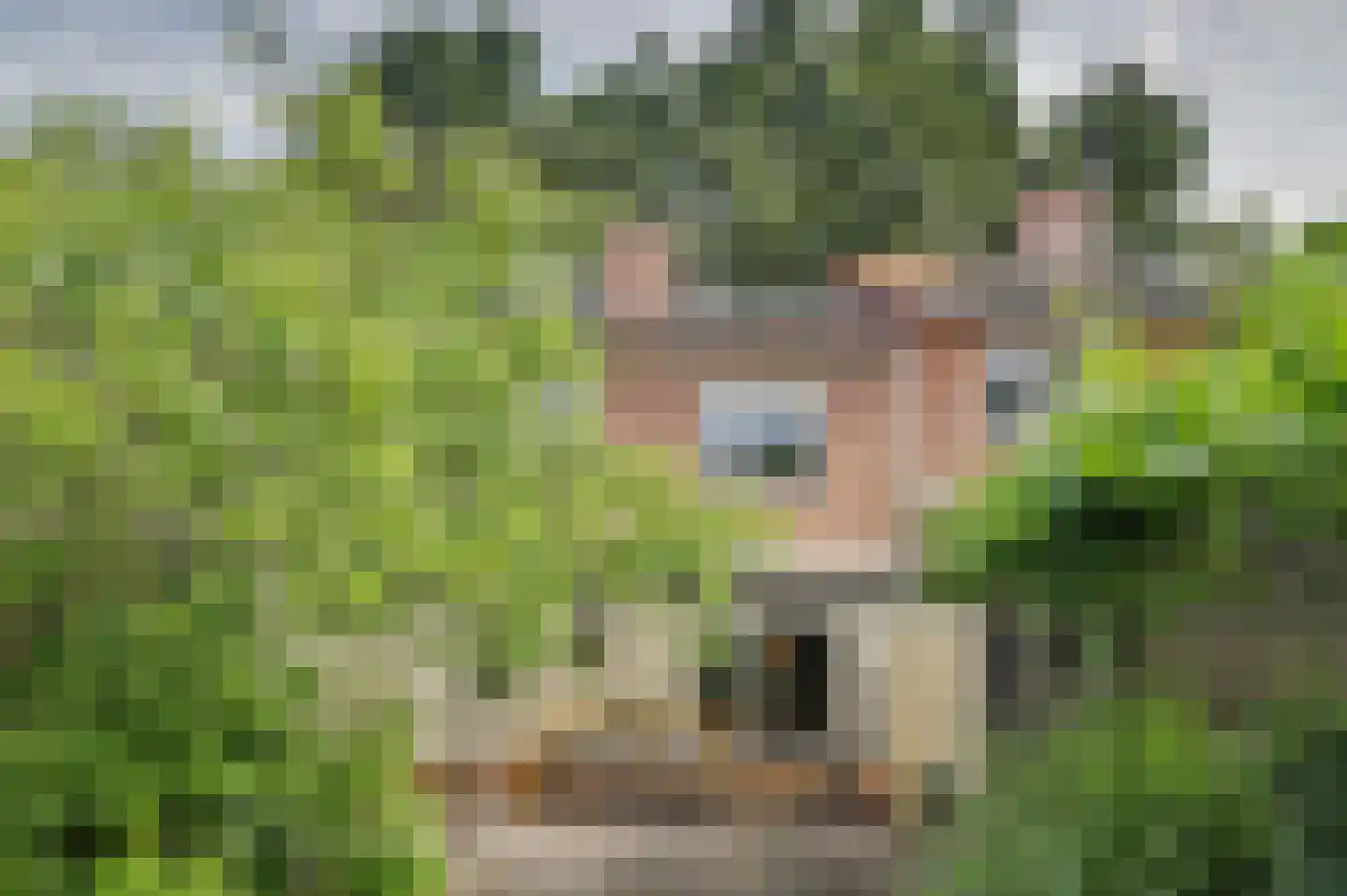 Waterleidingsingel 58 Venlo thumbnail 31