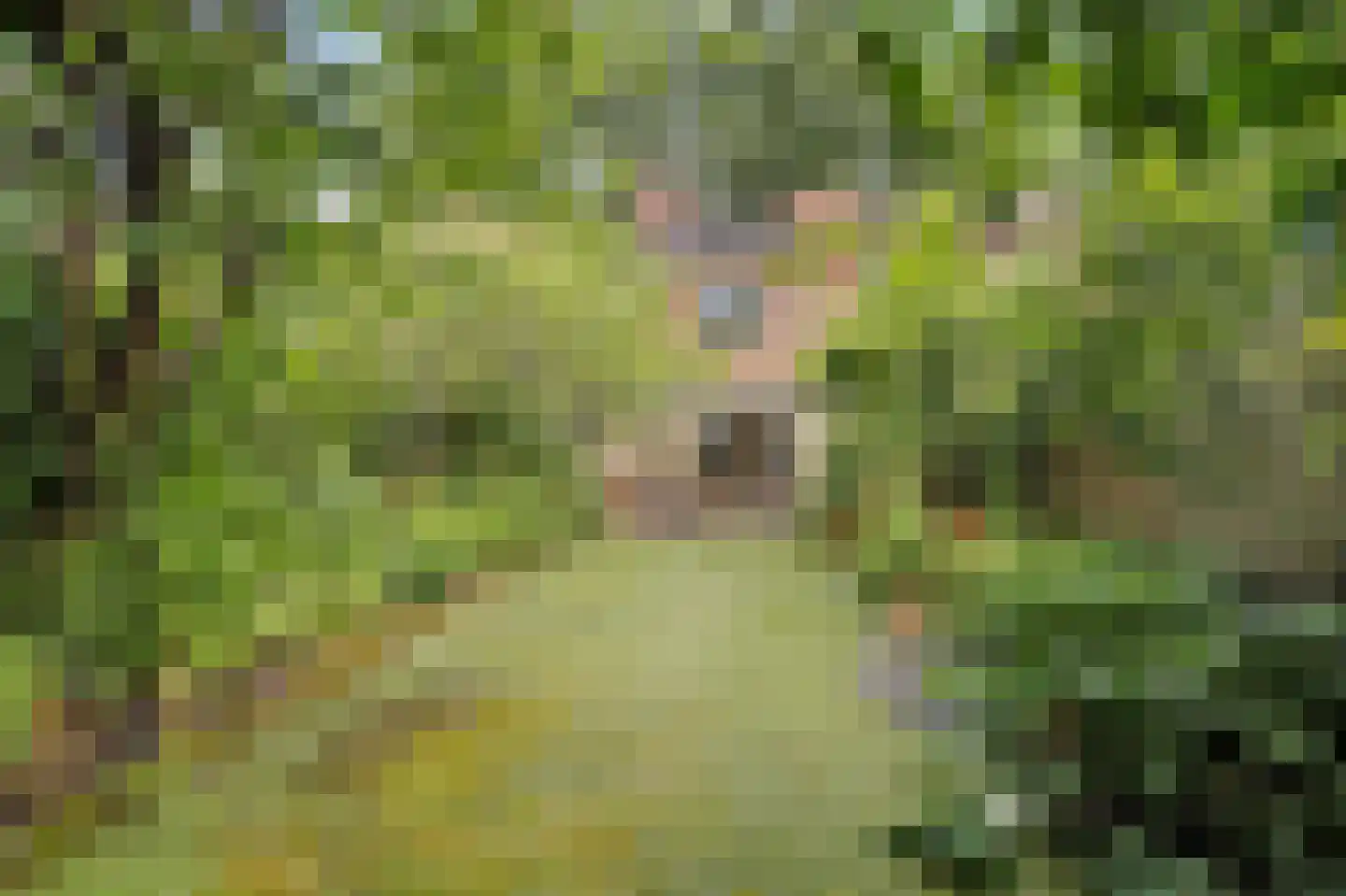 Waterleidingsingel 58 Venlo thumbnail 32