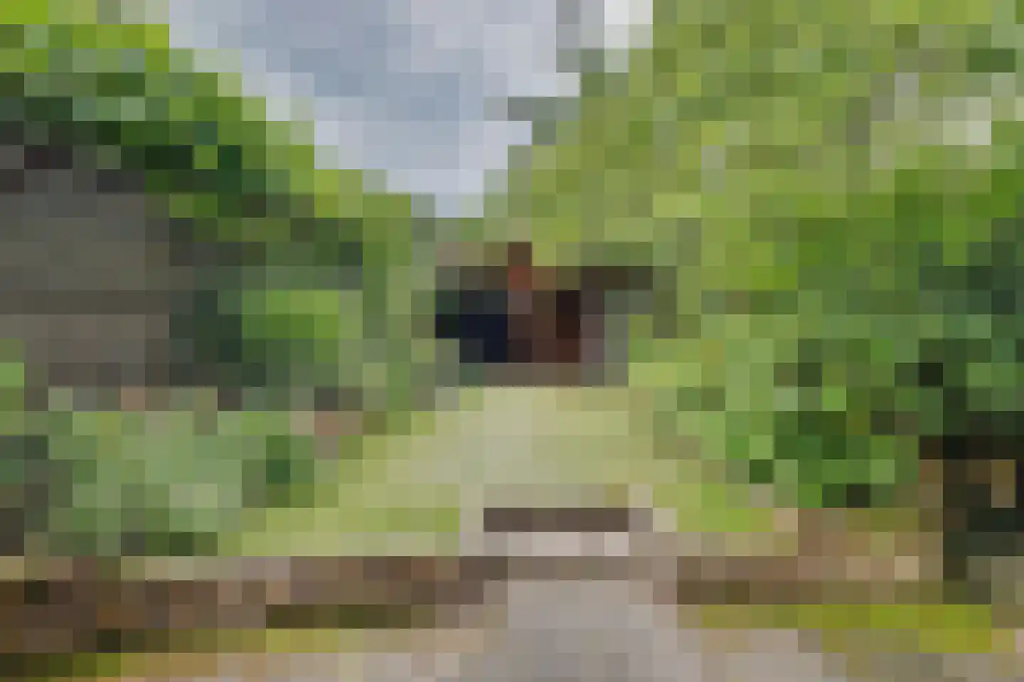 Waterleidingsingel 58 Venlo thumbnail 33