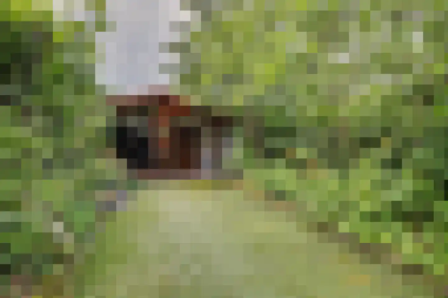 Waterleidingsingel 58 Venlo thumbnail 34