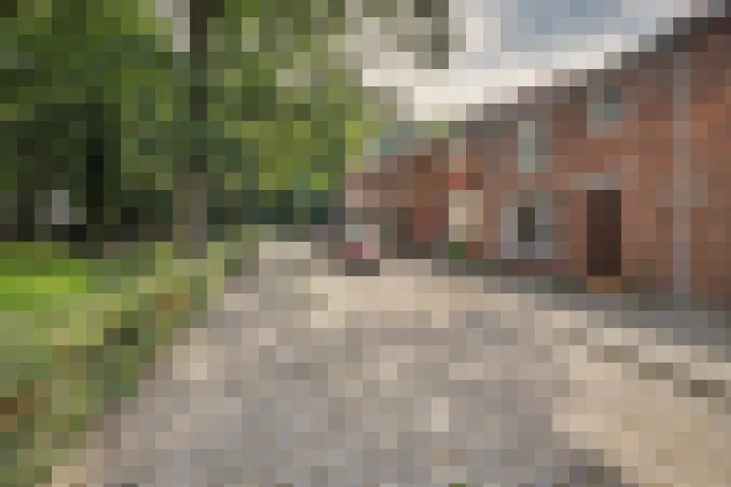 Waterleidingsingel 58 Venlo thumbnail 40