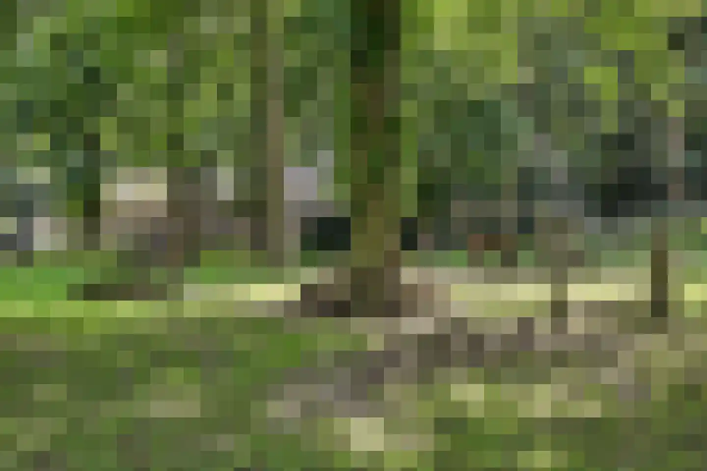 Waterleidingsingel 58 Venlo thumbnail 42