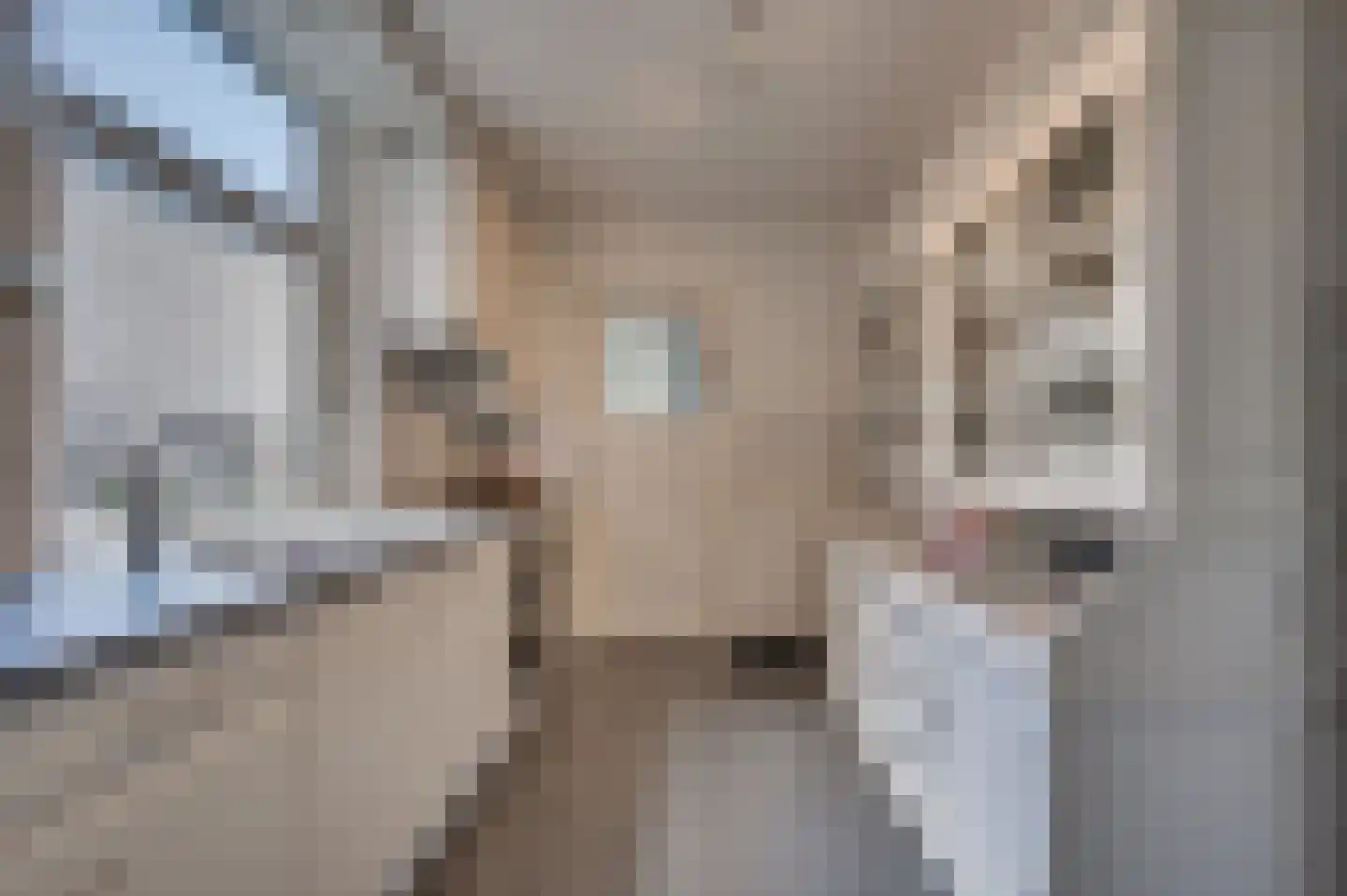 Waterleidingsingel 59 Venlo thumbnail 10