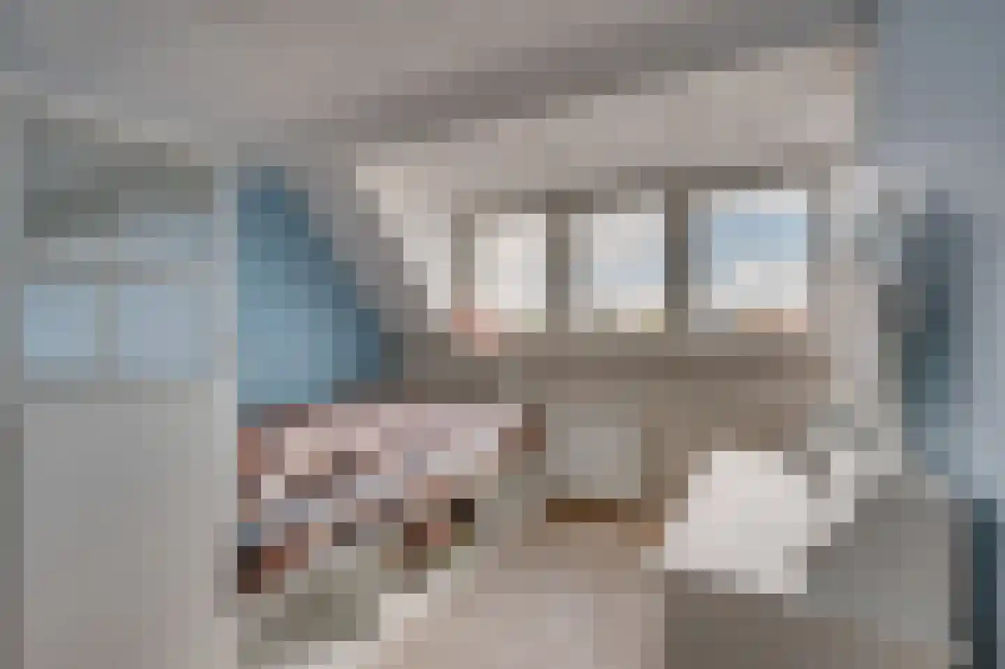 Waterleidingsingel 59 Venlo thumbnail 24