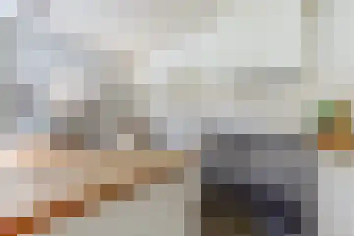 Waterleidingsingel 76 Venlo thumbnail 13