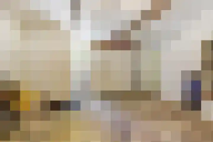 Waterleidingsingel 76 Venlo thumbnail 17