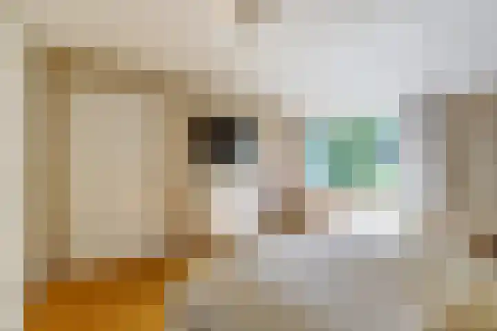 Waterleidingsingel 76 Venlo thumbnail 20