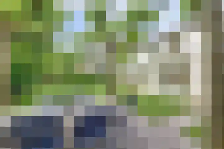 Waterleidingsingel 76 Venlo thumbnail 32