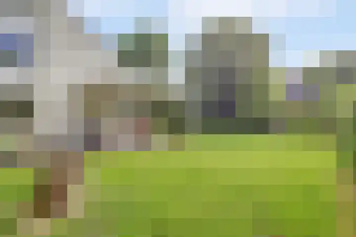 Waterleidingsingel 76 Venlo thumbnail 33