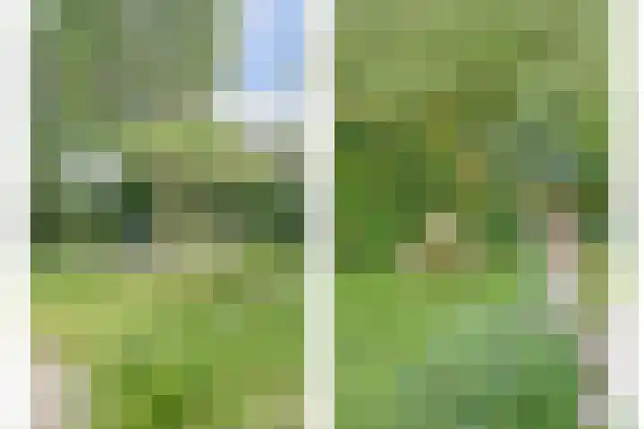 Waterleidingsingel 76 Venlo thumbnail 34