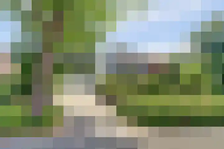 Waterleidingsingel 76 Venlo thumbnail 36