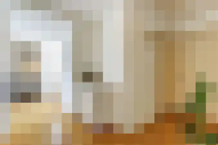 Waterleidingsingel 76 Venlo thumbnail 41