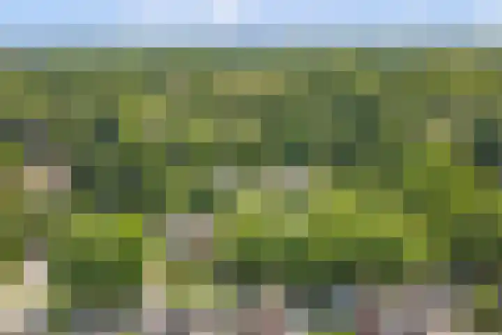 Waterleidingsingel 76 Venlo thumbnail 49