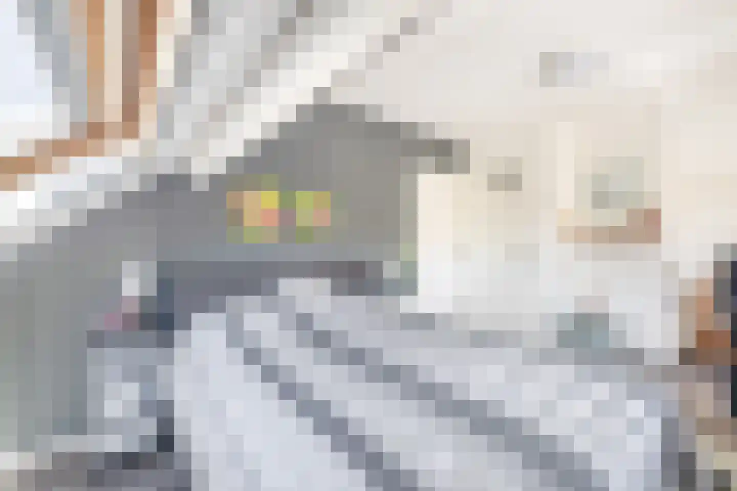 Waterleidingsingel 97 Venlo thumbnail 20