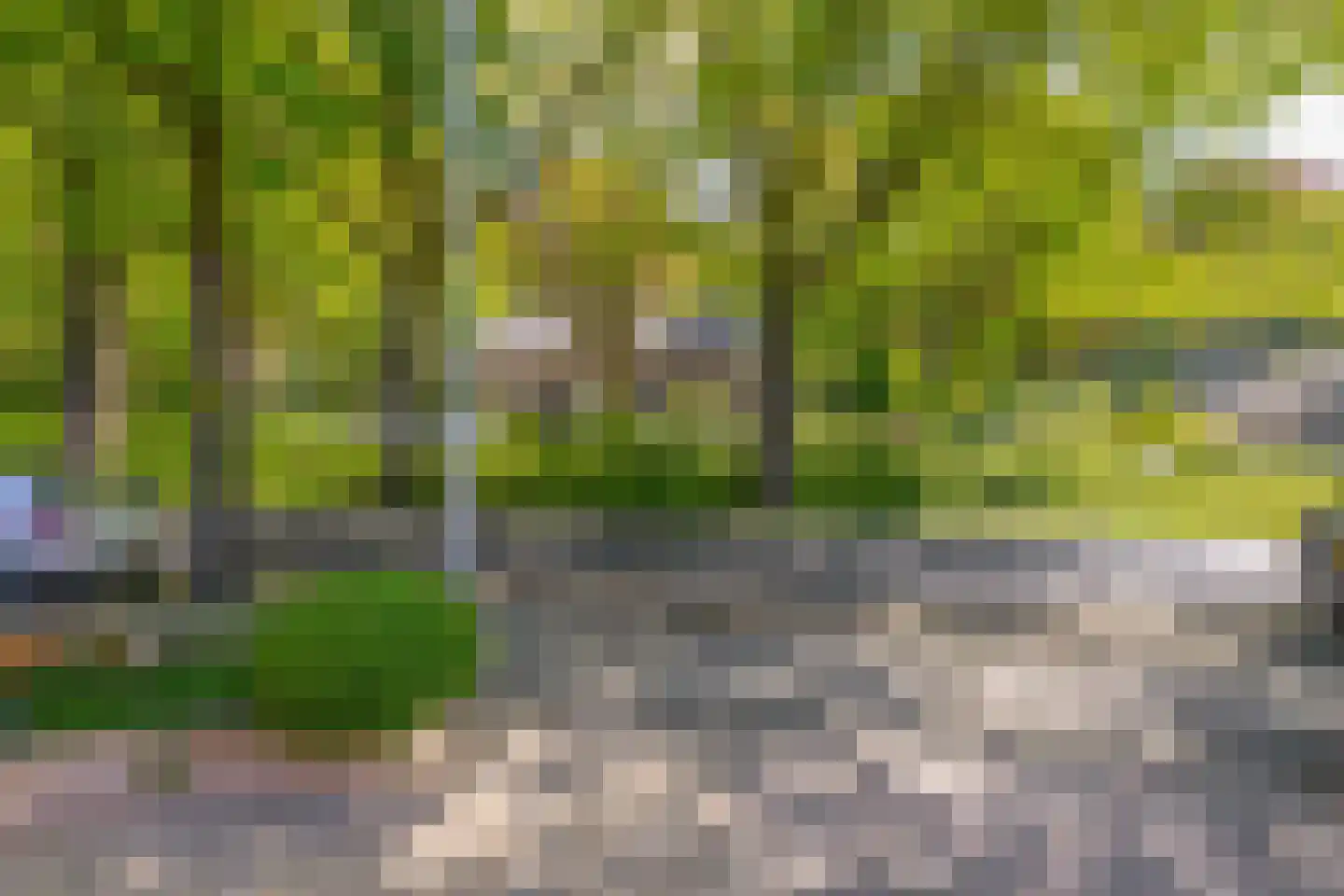 Waterleidingsingel 97 Venlo thumbnail 30