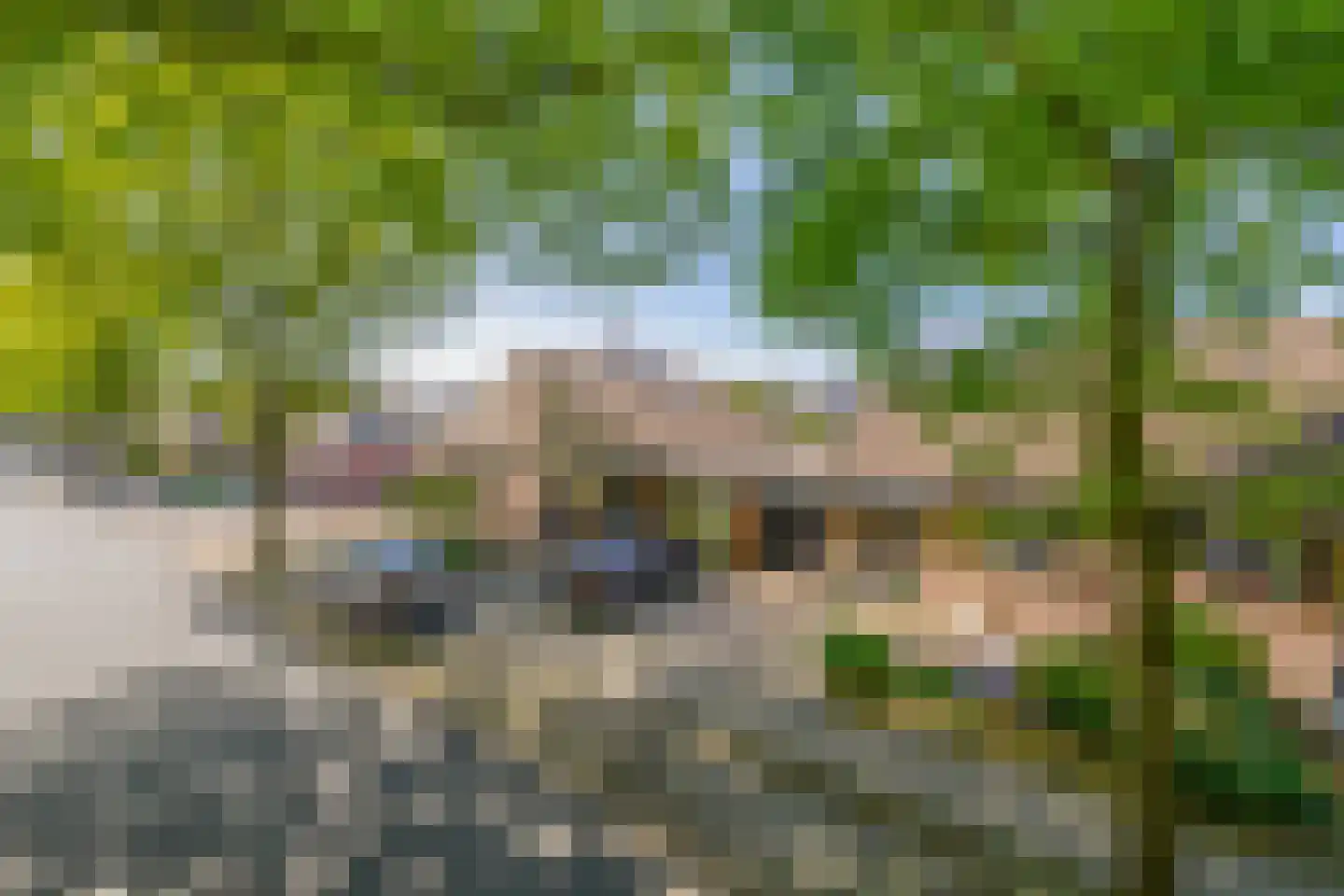 Waterleidingsingel 97 Venlo thumbnail 31
