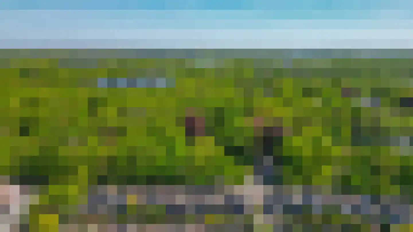 Waterleidingsingel 97 Venlo thumbnail 32