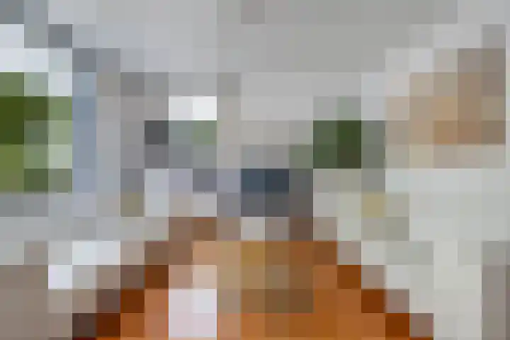 Waterlelie 1 Drachten thumbnail 15