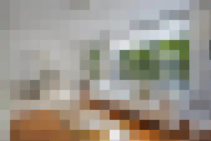 Waterlelie 1 Drachten thumbnail 16