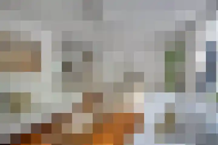 Waterlelie 1 Drachten thumbnail 17