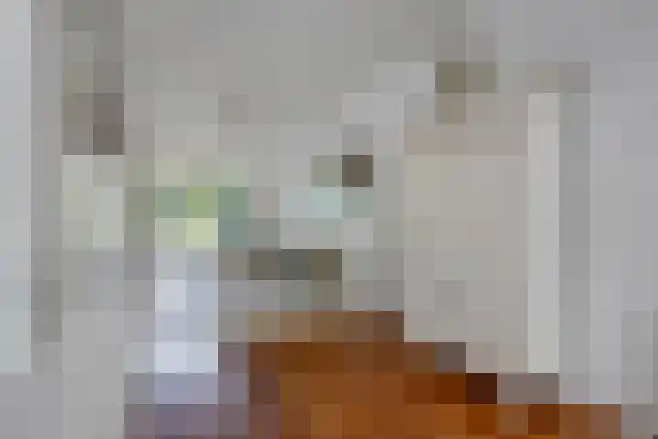 Waterlelie 1 Drachten thumbnail 18