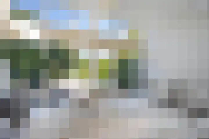Waterlelie 1 Drachten thumbnail 27