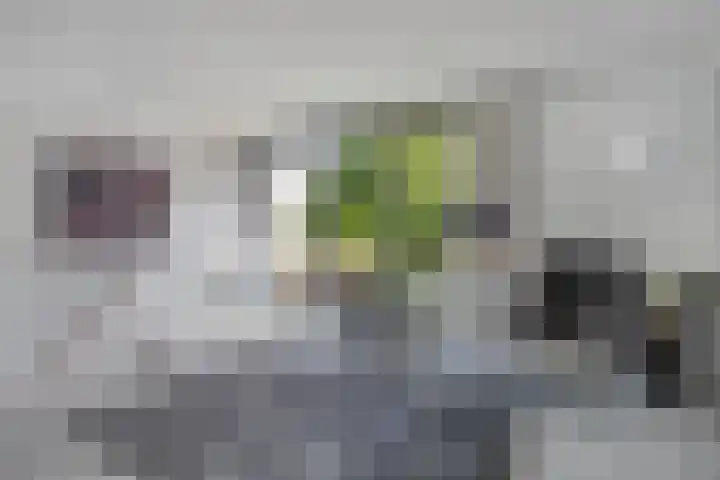Waterlelie 1 Drachten thumbnail 39
