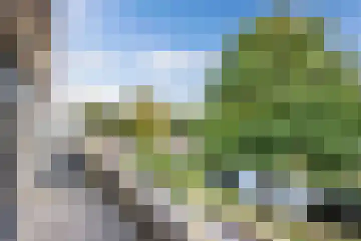 Waterlelie 1 Drachten thumbnail 44